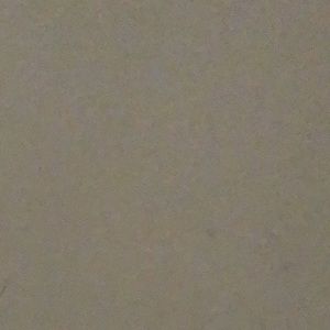 Meet your Posher, Luisa